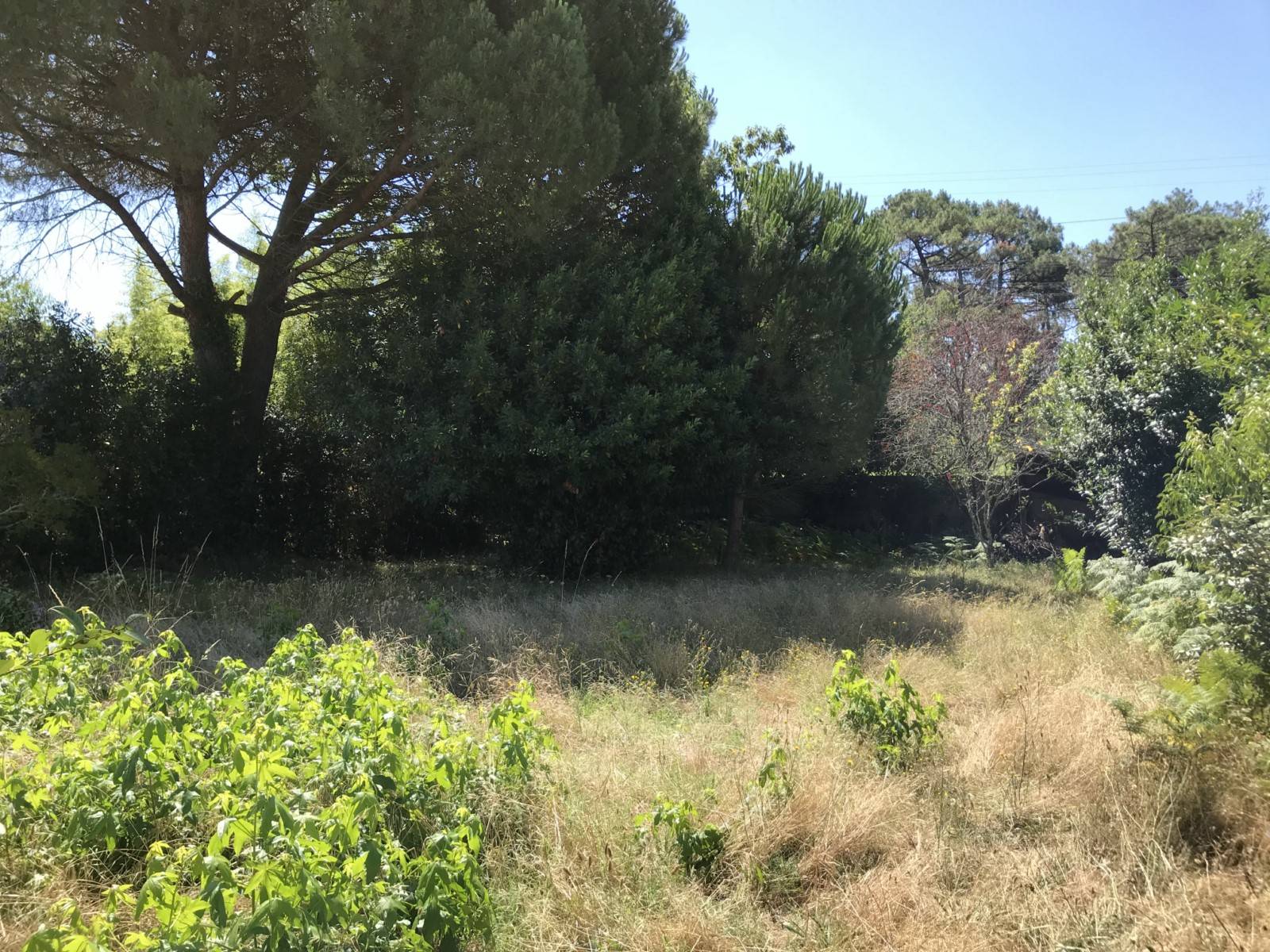 Faire estimer son terrain sur le Bassin d'Arcachon