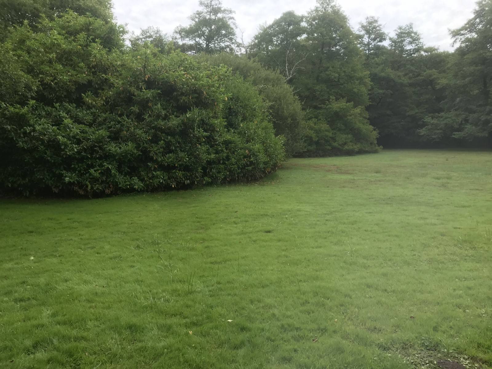 Grand terrain constructible à la vente LE TEICH