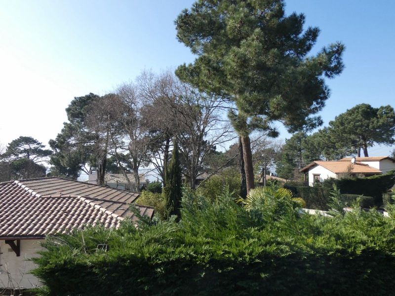 Trouver une grande villa familiale à la vente sur le Bassin d'Arcachon